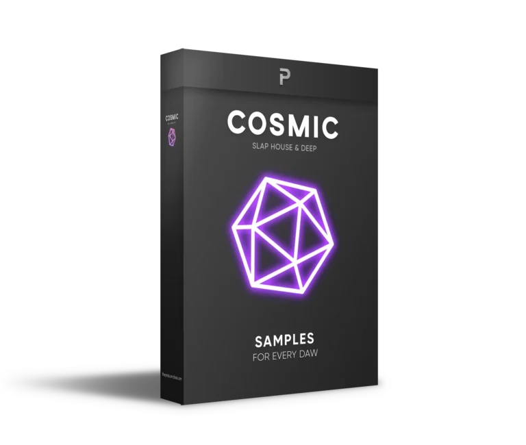 The Producer School – Cosmic – Slap House Sample Pack (MIDI, WAV, SERUM, FLP, ALP)