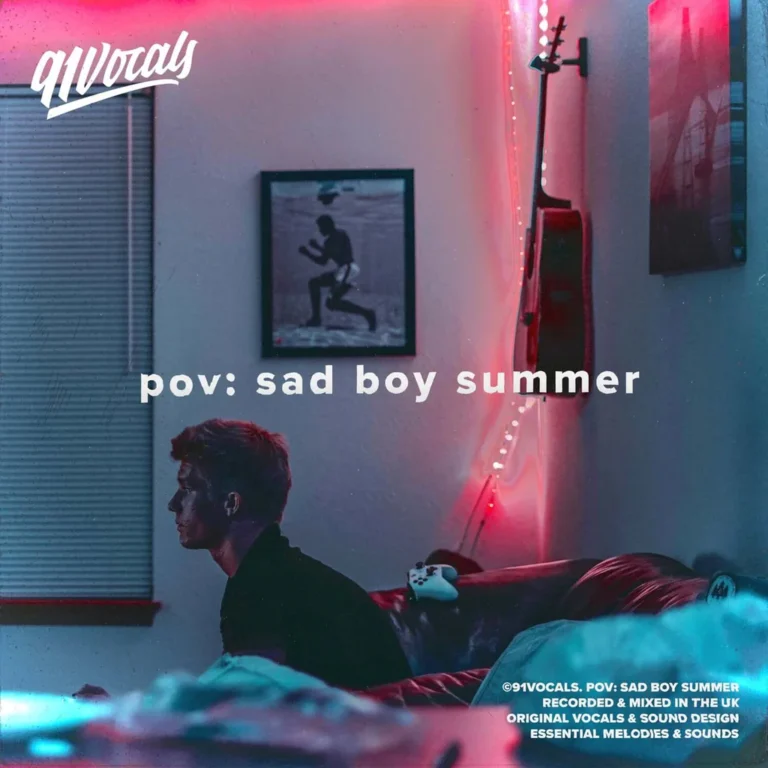 91Vocals – pov sad boy summer (WAV)