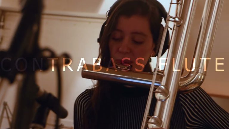 Auddict – Daniela Mars Contrabass Flute (KONTAKT)