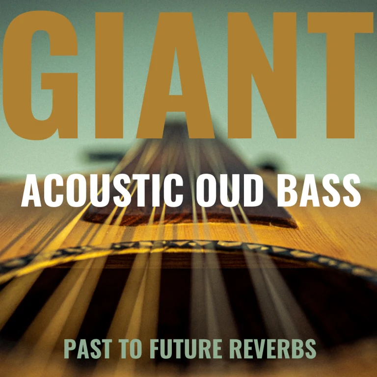 Past to Future Reverbs – Giant Acoustic Round-Back Fretless Bass (KONTAKT)