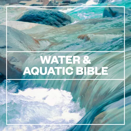 Blastwave FX – Water and Aquatic Bible (WAV)