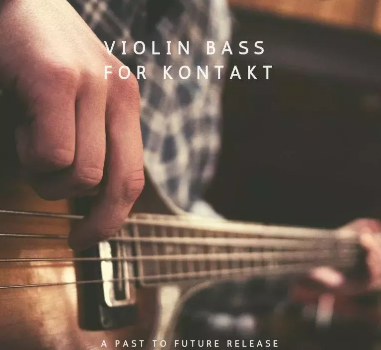Past to Future Reverbs – Violin Bass (KONTAKT)