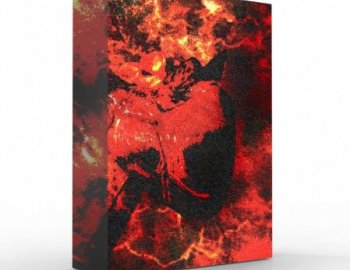 Ayy Walker – The Drip Demon Drum, Kit Loop Kit (WAV)