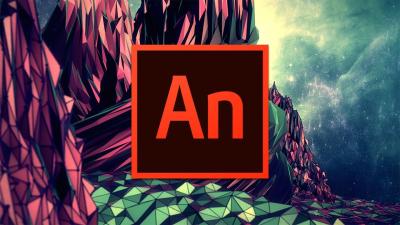 Adobe Animate 2024 24.0.10 Multi x64