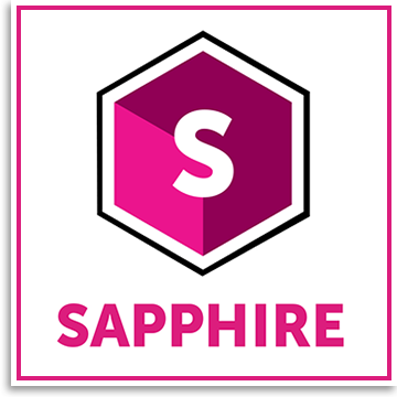 Boris FX Sapphire Plug-ins Complete 2024.51 (x64)
