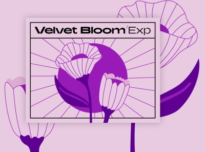 Velvet Bloom Expansion (MASCHINE, BATTERY, MONARK)
