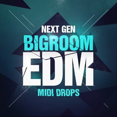 Next Generation Audio – Next Gen Bigroom EDM WAV LOOP MIDI PRESETS