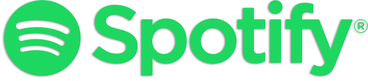 Spotify 1.2.76.298 (x64) Portable