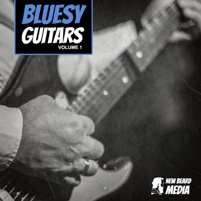 New Beard Media – Bluesy Guitars Vol.1 (WAV)