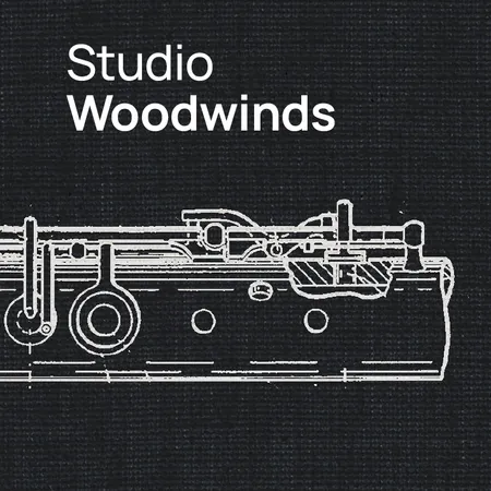 Vienna Symphonic Library – Studio Woodwinds (Synchron Player)