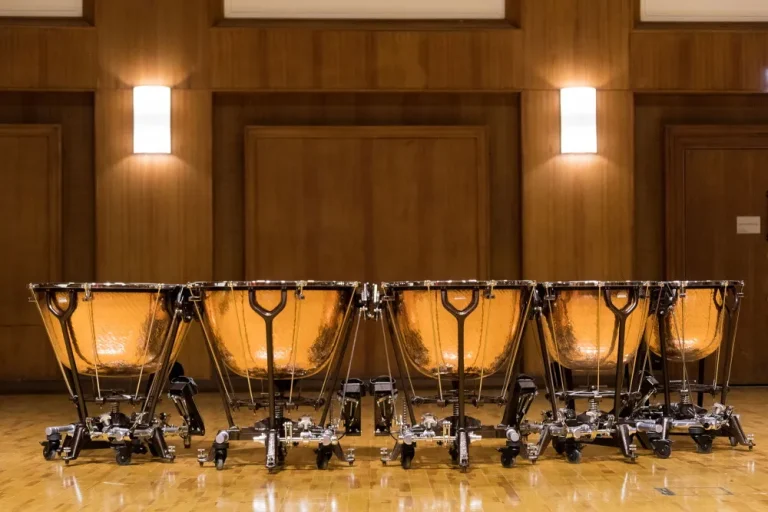 Vienna Symphonic Library – Synchron Percussion I Taiko Bonus (Synchron Player)
