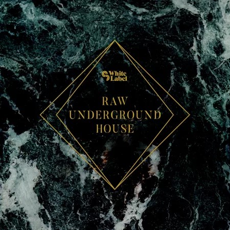 Sample Magic – Raw Underground House (WAV)